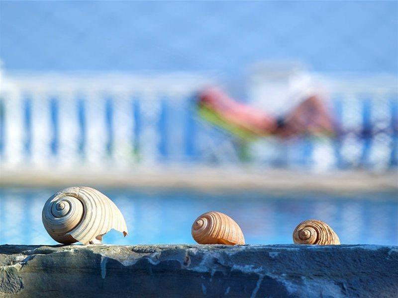 Hotel Aroma Creta Koutsounari Exteriér fotografie